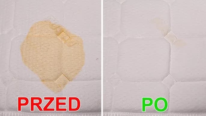 Jak wyczyścić materac z moczu kota i pozbyć się nieprzyjemnych zapachów